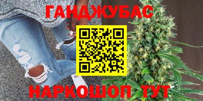 Альфа ПВП Можга