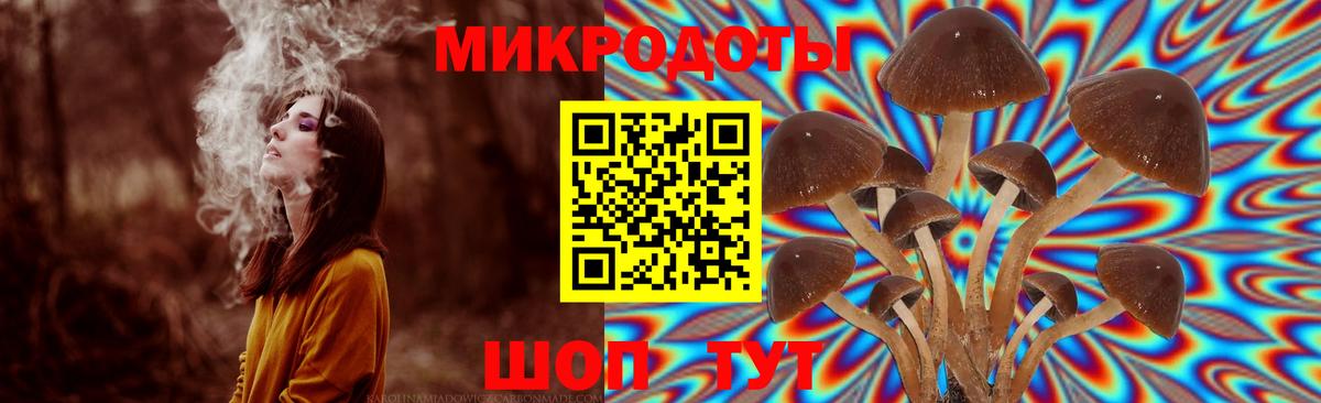 Псилоцибиновые грибы ЛСД  Вход с VPN  Галлюциногенные грибы Magic Shrooms  Дзержинский 